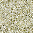 SEED-TR11-PF0558
