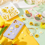 Blomster Cabochons – Resin, Farve Mix (9~26x2.5~7mm) - Uniq Perler - 118585