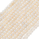 Ferskvandsperler – Beige, Potato (2,8~3,2mm)AA - Uniq Perler - 124029
