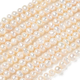 Ferskvandsperler – Beige, Potato (4~5mm) AA - Uniq Perler - 124031
