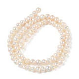Ferskvandsperler – Beige, Potato (4~5mm) AA - Uniq Perler - 124031