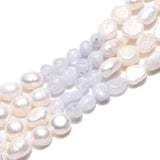 Ferskvandsperler Og Blue Lace Agat – Nuggets/Chips (4 - 13mm) - Uniq Perler - 115729