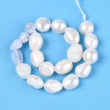 Ferskvandsperler Og Blue Lace Agat – Nuggets/Chips (4 - 13mm) - Uniq Perler - 115729