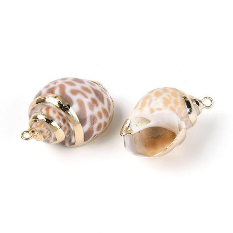 Konkylie Vedhæng – Natur (19.5–30.5mm, 4 stk) - Uniq Perler - 117816