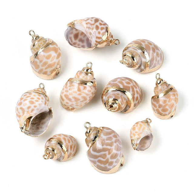 Konkylie Vedhæng – Natur (19.5–30.5mm, 4 stk) - Uniq Perler - 117816