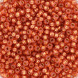 Miyuki seed beads 11/0 - duracoat galvanized silver 4201 - Uniq Perler - 123304