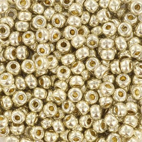 Miyuki seed beads 8/0 - duracoat galvanized silver 4201 - Uniq Perler - 123297