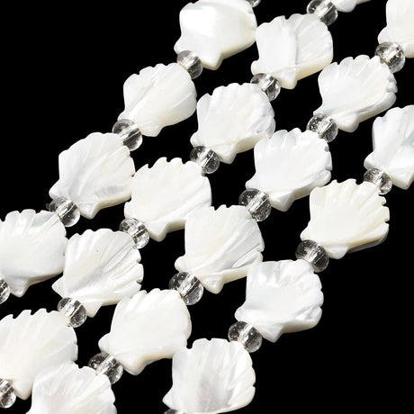 Natural Trochus shell pearls – (approx. 12 mm) - Uniq Perler - 