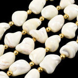 Naturlige Trochus muslingeperler nuggets (11 - 16mm) - Uniq Perler - 