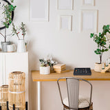 Ear stud/Ring Display with clear top – Rectangular (Black, 215x137x32mm) - Uniq Perler - 