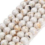 Shell Perler – Beige (10mm) - Uniq Perler - 149442