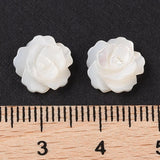 Shell Perler – Blomst Top/anboret (10mm) 2 stk. - Uniq Perler - 120203