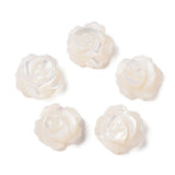 Shell Perler – Blomst Top/anboret (10mm) 2 stk. - Uniq Perler - 120203