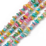 Shell Perler, Chips, Multi Farver, 5 - 9mm, Dobbelt streng (80cm) - Uniq Perler - 778807