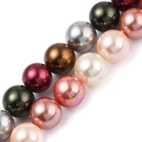 Shell Perler, Farve Mix,(10 - 10,5 mm) - Uniq Perler - 439385