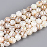 Shell Perler – Hvid/Brun, Runde (5mm) - Uniq Perler - 