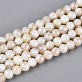 Shell-Perlen mit AB-Effekt – Muschelfarbe, rund (4 mm)