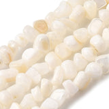 Shell perler – Nugget Facon (4–8mm) - Uniq Perler - 116039