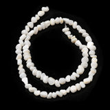 Shell perler – Nugget Facon (4–8mm) - Uniq Perler - 116039