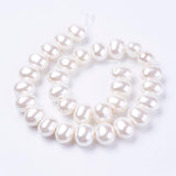 Shell Perler, Ovale, 16x12mm - Uniq Perler - 112233