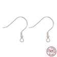 Sterling Silver 925 Ear Hooks, (19mm) - Uniq Perler - 111705