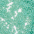 TOHO Seed Beads – TR 2119, Silver Lined Dk Mint (11/0) - Uniq Perler - 119044