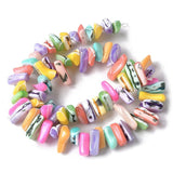 Trochus Shell Perler Nugget (9 - 21mm) - Uniq Perler - 115546