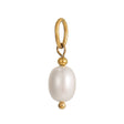 Vandfast Shell Vedhæng – Oval Shell Perle Med 18K Forgyldt Stål (15x7mm) - Uniq Perler - 118522