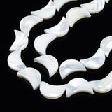 Måne Shell Perler, Hvid, (11x8mm) - Uniq Perler - 405194