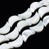 Måne Shell Perler, Hvid, (11x8mm) - Uniq Perler - 405194