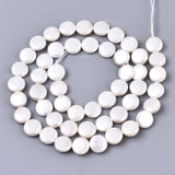 Shell Perler, Coin, Hvid, (8mm) - Uniq Perler - 570135