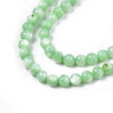 Uniq Perler Shell Perler 4 mm shell perler, grøn